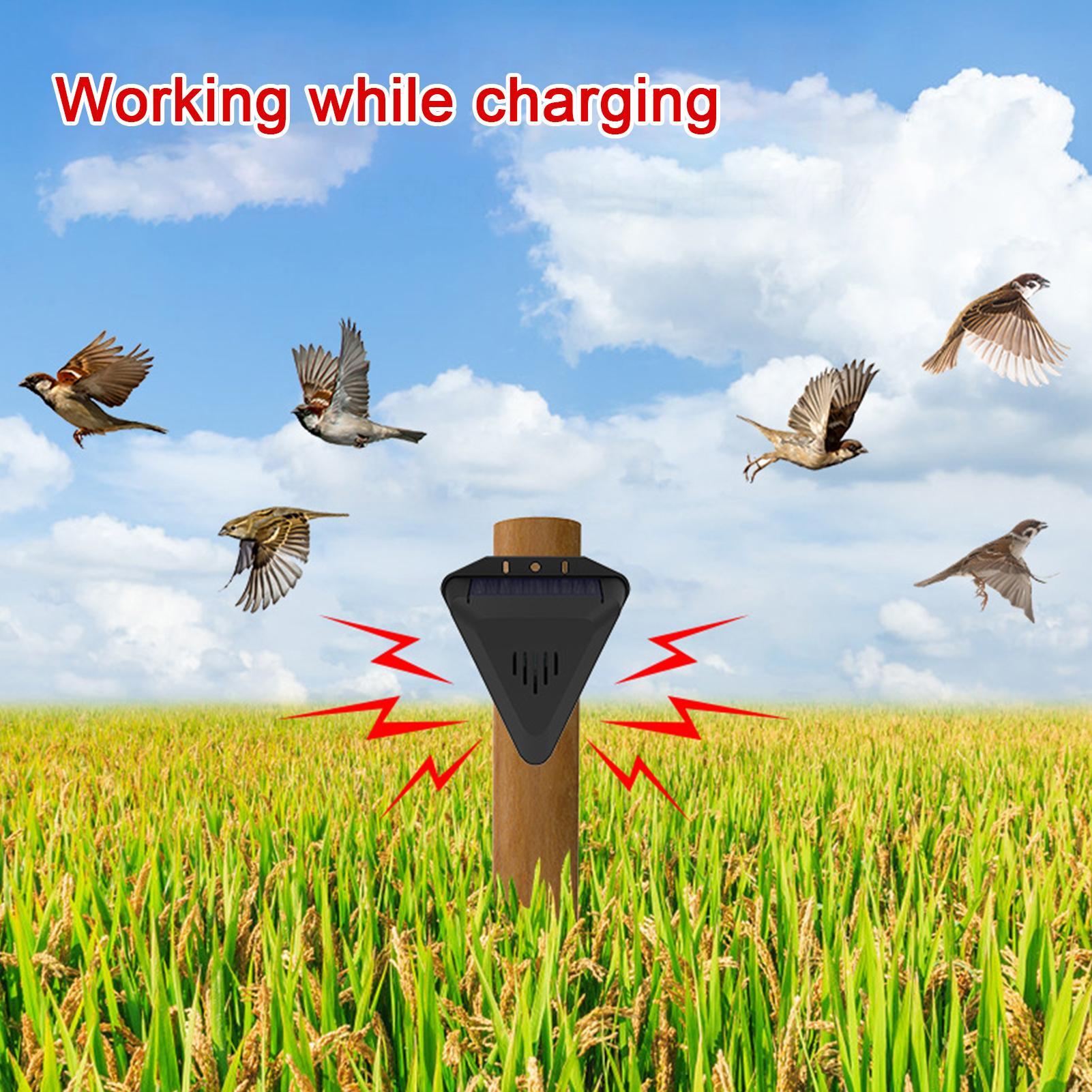 Ahuyentador de Aves Solar con  - Outdoor Power Timer reseña y precio