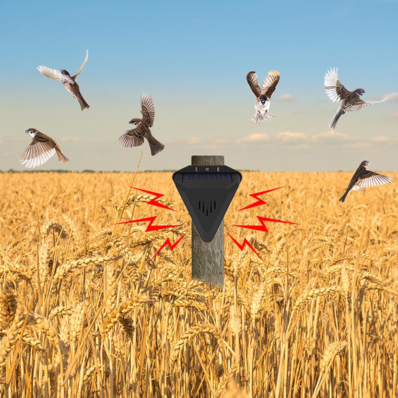 Ahuyentador de Aves Solar con  - Outdoor Power Timer reseña y precio