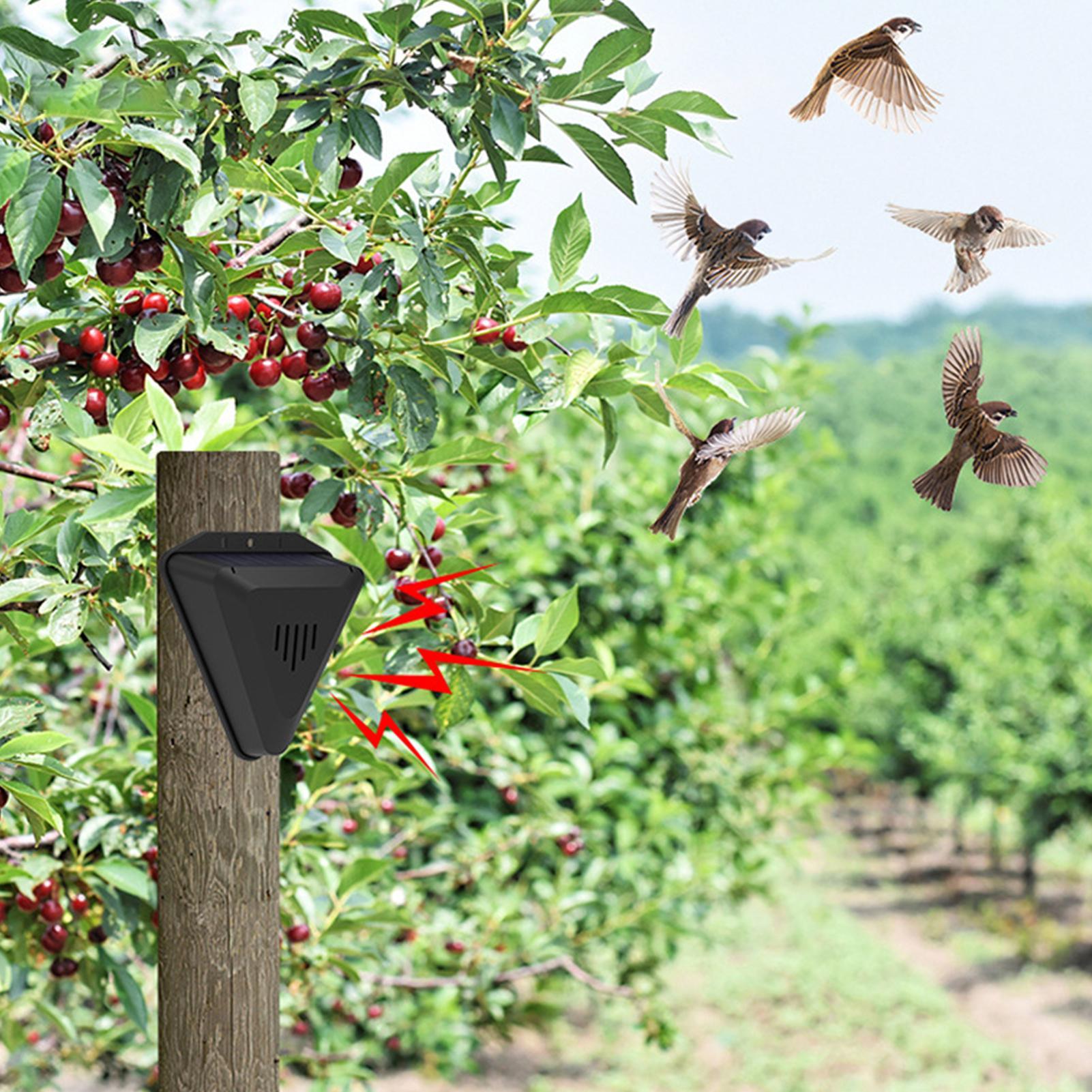 Ahuyentador de Aves Solar con  - Outdoor Power Timer reseña y precio